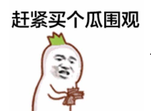吃瓜群众可爱表情包